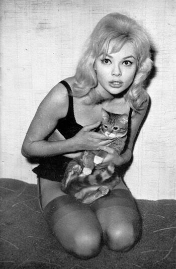 🔥 Vintage starlets page leaked private photo uncensored full