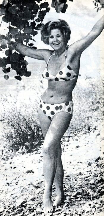 🔥 Vintage starlets page leaked private photo uncensored full